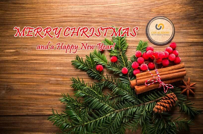 Merry Christmas 2025!