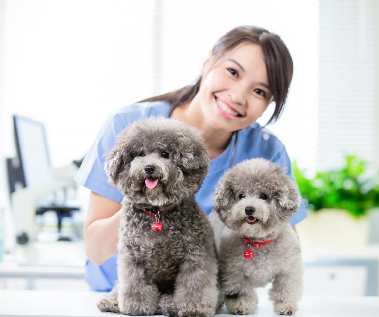 Graduate Certificate in Mental Health